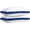 Lux Décor Collection Set of 2 Premium Gusseted Pillows -Lux Décor Collection shop Belk 1704