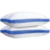 Lux Décor Collection Set of 2 Premium Gusseted Pillows -Lux Décor Collection shop Belk 1712