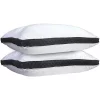 Lux Décor Collection Set of 2 Premium Gusseted Pillows -Lux Décor Collection shop Belk 1716